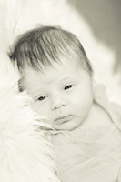 Bane Whigham - Newborn Session Nov 2011