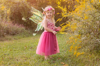 Fairy Mini