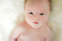 Newborn Spring 14